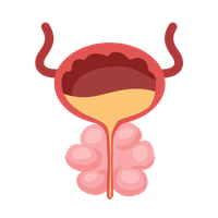 prostat iltihabi