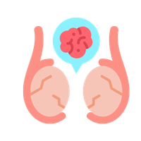 testis kanseri
